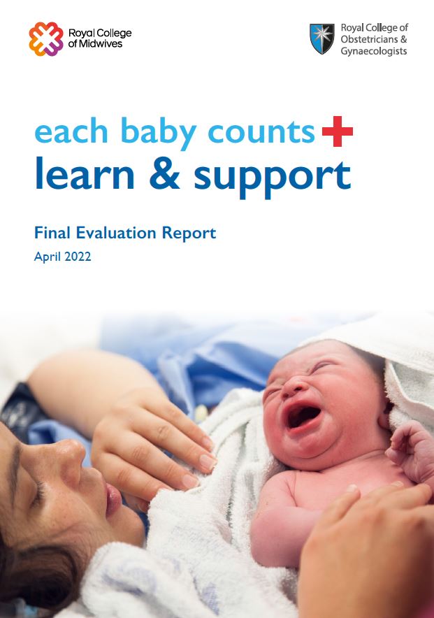 Each Baby Counts Learn + Support full report cover thumbnail