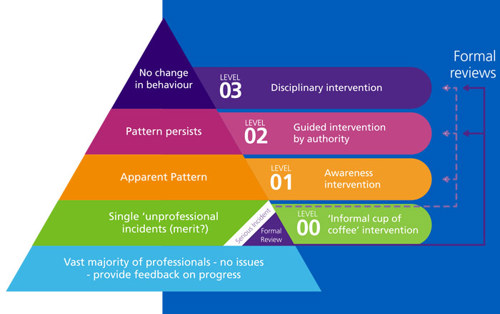 Infographic: Promoting Professionalism Pyramid