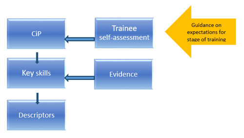 Figure 2 - Trainee self-assessment of a CIP