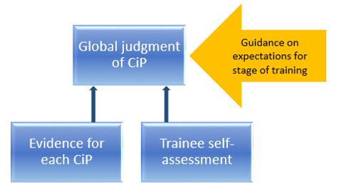 Figure 3 – Educational Supervisor’s assessment of all CiPs
